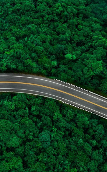 Top view of a road running through a forrest of green treetops with a single white car on the road