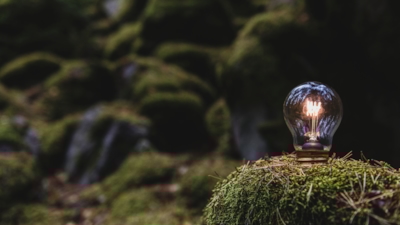 Dark green forest close up of mossy rocks with a working lightbulb embedded in foreground stone