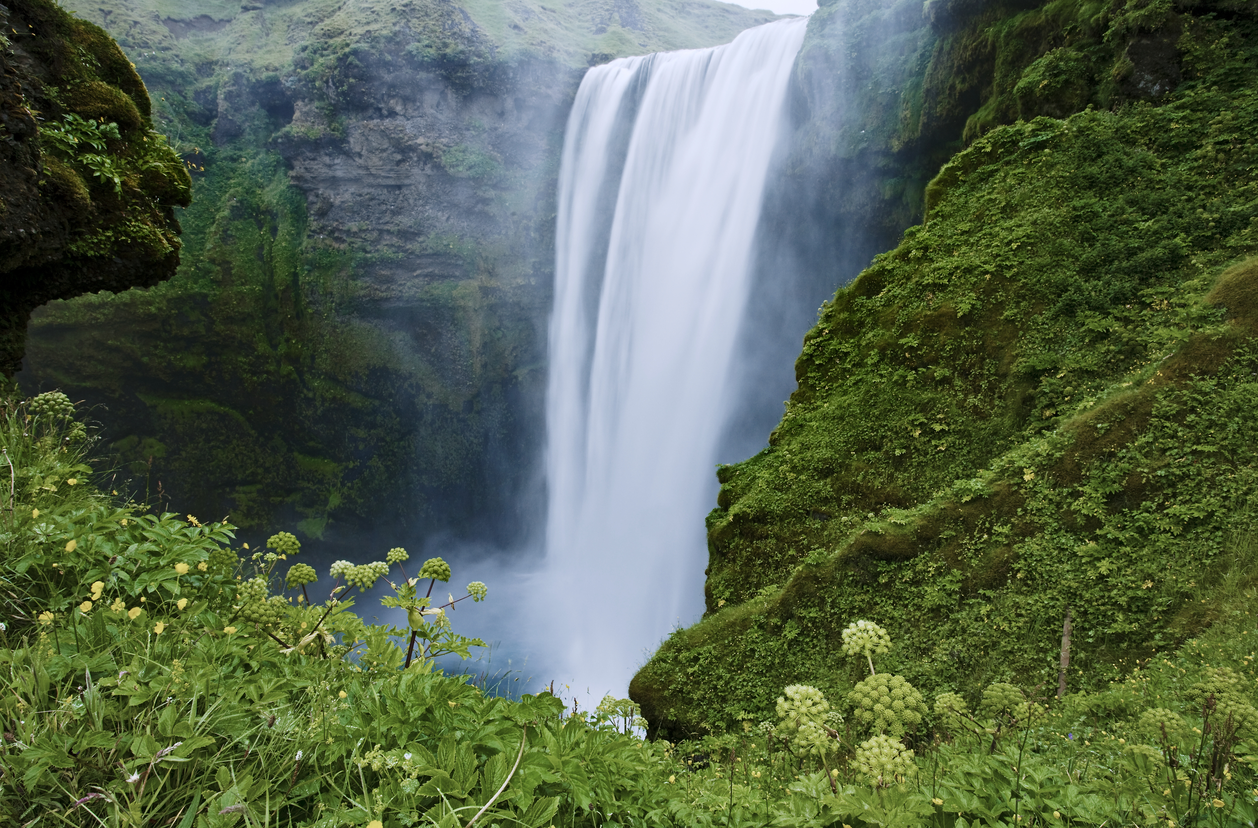 View from the top of a small mountain with a large tree to the left, looking down at a foggy forrest with a winding road going through